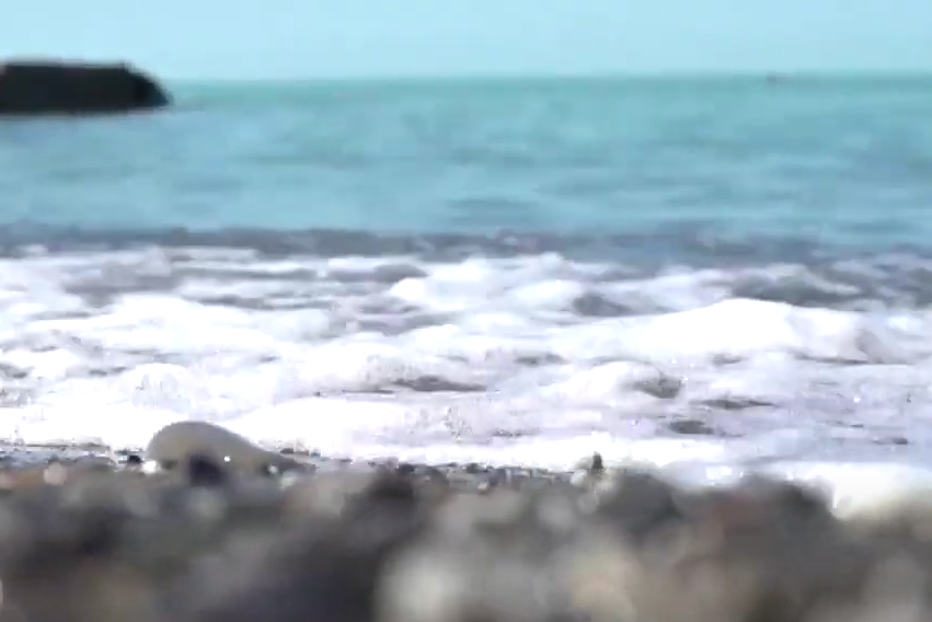 морские каникулы с ИМПУЛЬС